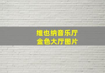 维也纳音乐厅 金色大厅图片